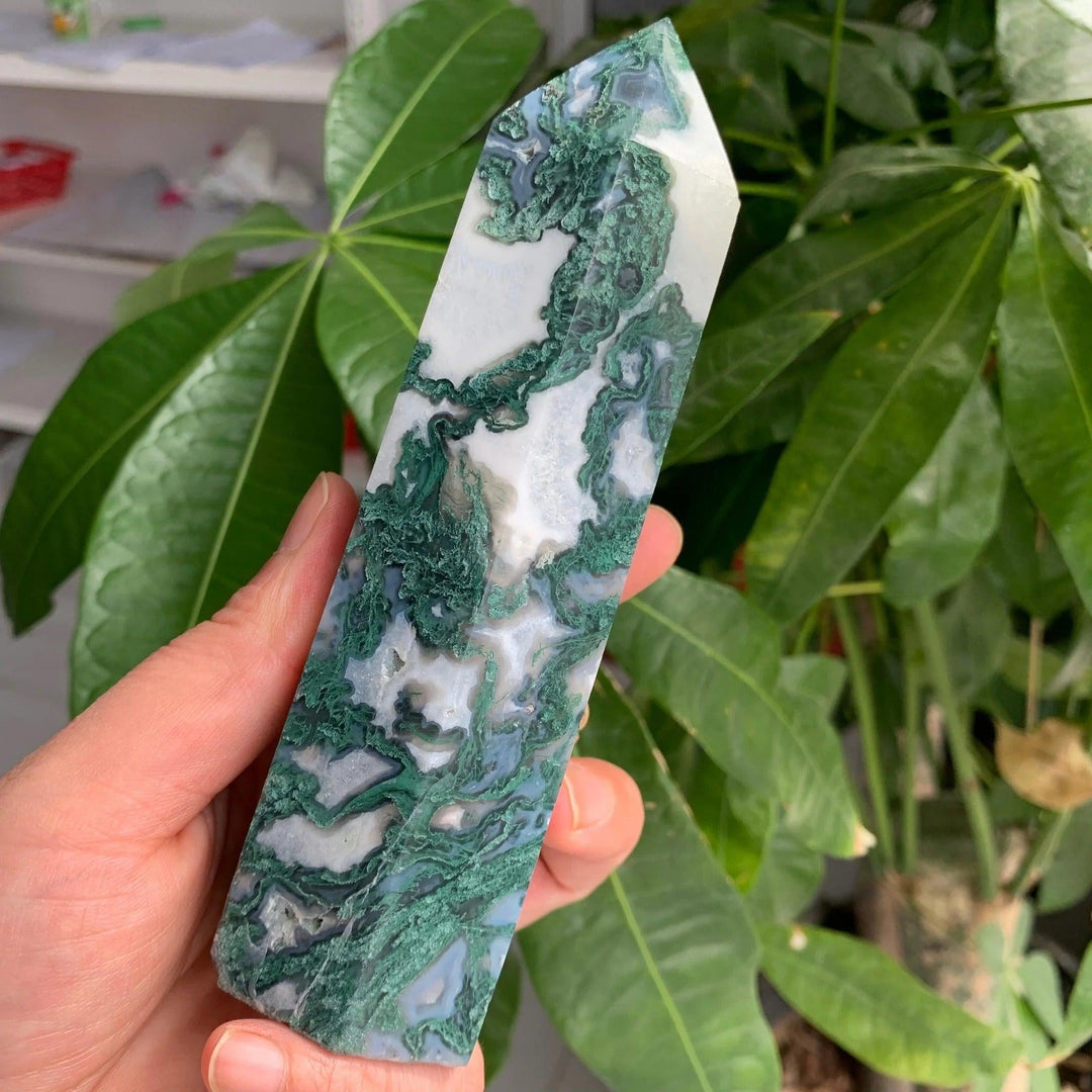 Moss Agate Crystal: Growth, Abundance & Nature's Connection