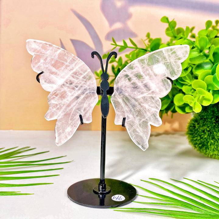 High-quality crystal butterfly wing with stand, a beautiful healing crystal decoration and women's gift.