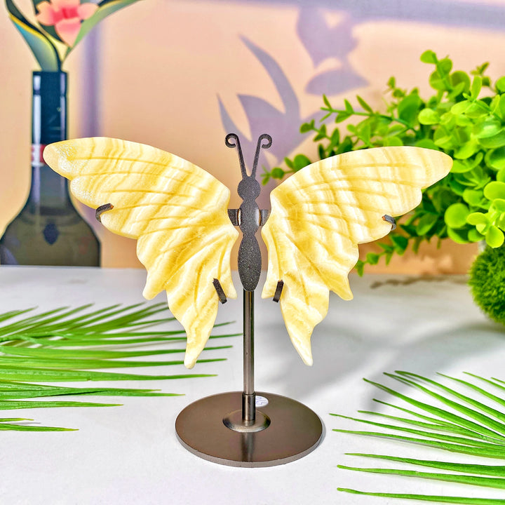 High-quality crystal butterfly wing with stand, a beautiful healing crystal decoration and women's gift.