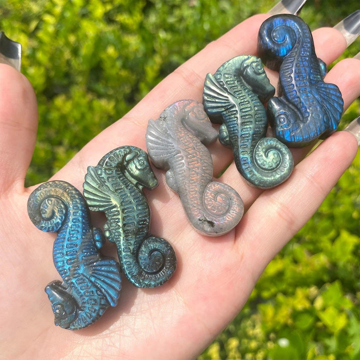 Handcrafted Labradorite seahorse crystal carvings featuring iridescent blue and grey flashes for mystical home decor.