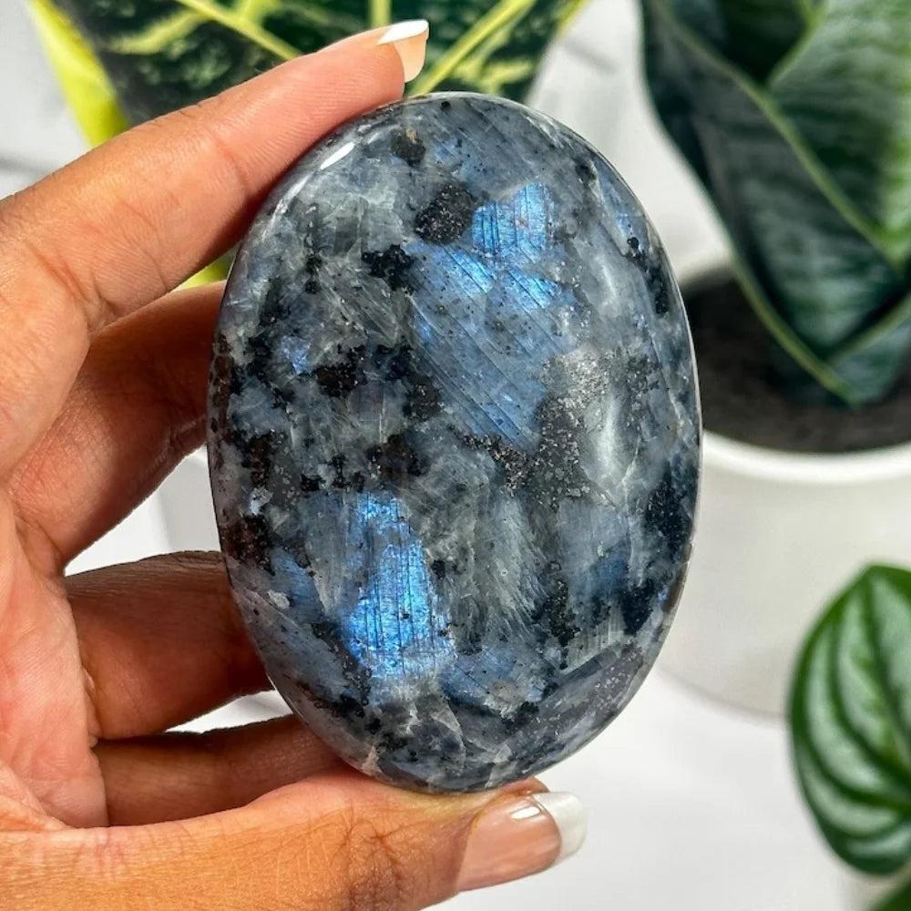 Polished Larvikite Larva Palm Stone with shimmering blue flashes for healing and home decor.