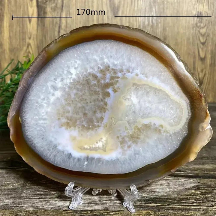 Stunning Agate Slice with Stand, 170mm. Natural amber, cream, and translucent bands for grounding energy.