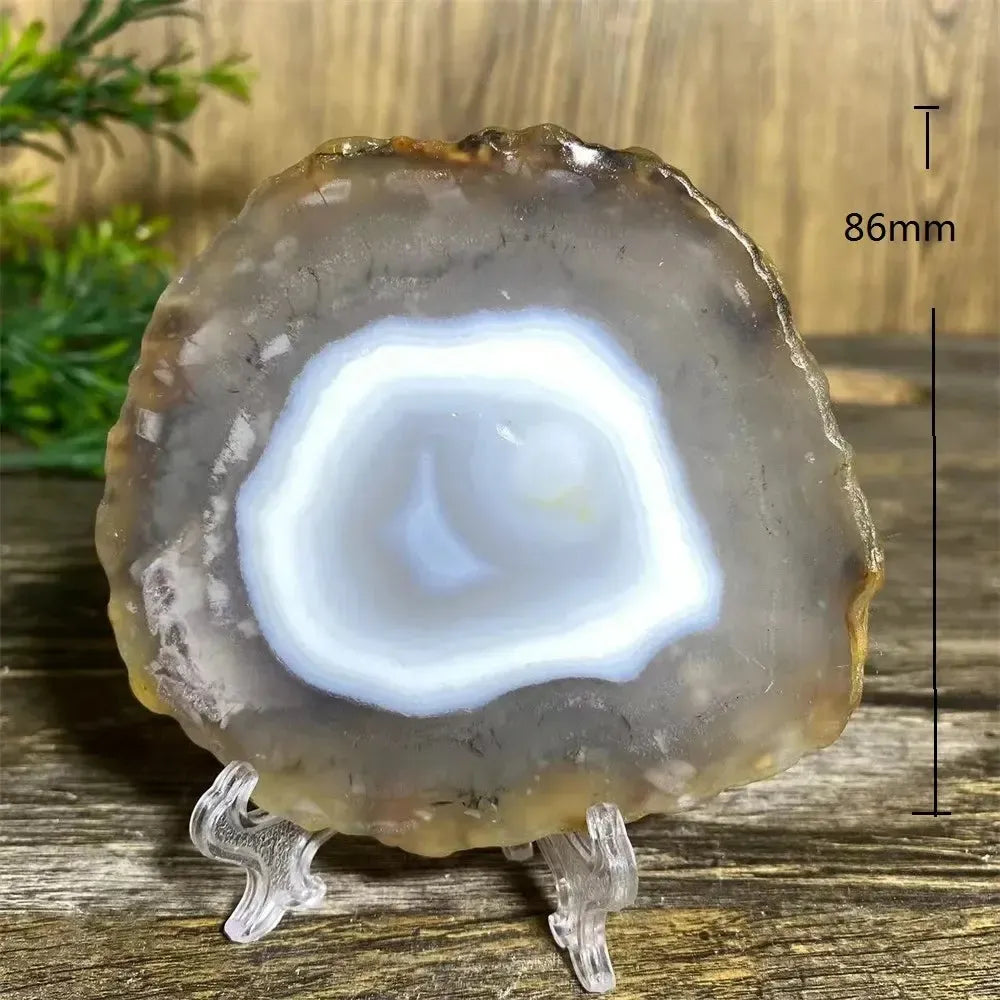 Agate Slice with Stand-Slabs-Ali-Agate-178g-Crystal Destiny