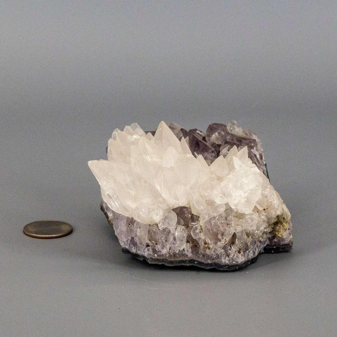 Dogtooth Calcite "Flower" Amethyst Cluster: sharp white calcite crystals on a purple amethyst base.