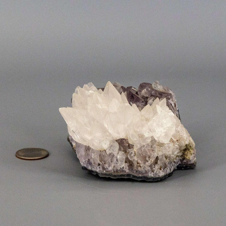 Dogtooth Calcite "Flower" Amethyst Cluster: sharp white calcite crystals on a purple amethyst base.