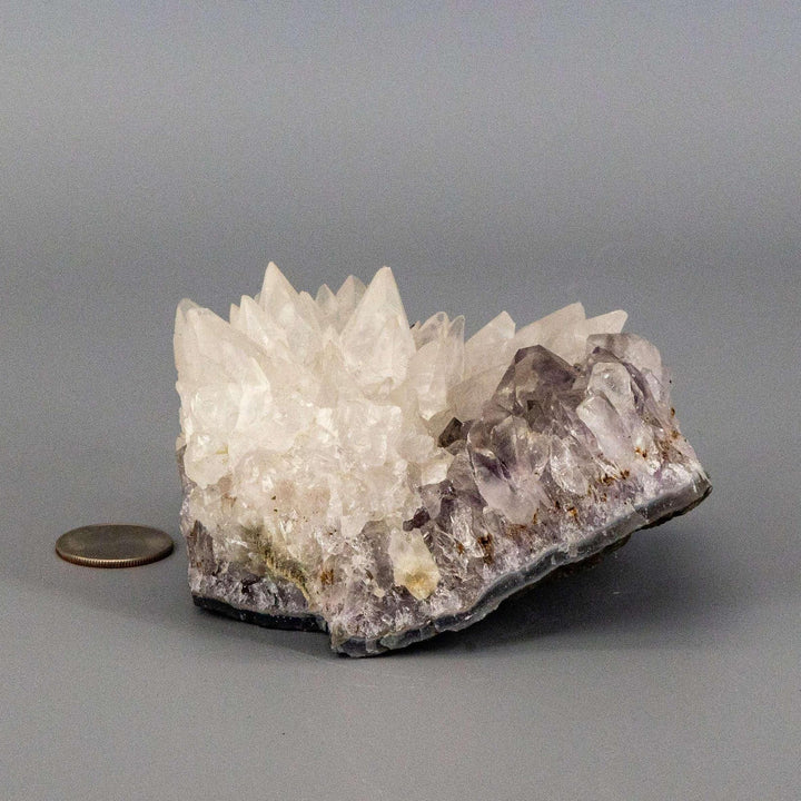 Dogtooth Calcite "Flower" Amethyst Cluster: Sharp white calcite crystals bloom from a purple amethyst base.