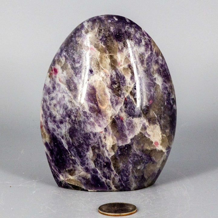 Amethyst Fat Freeform-Freeforms-Crystal Destiny-Amethyst-820g - 4.50"H x 3.50"W x 2.00"D-Crystal Destiny
