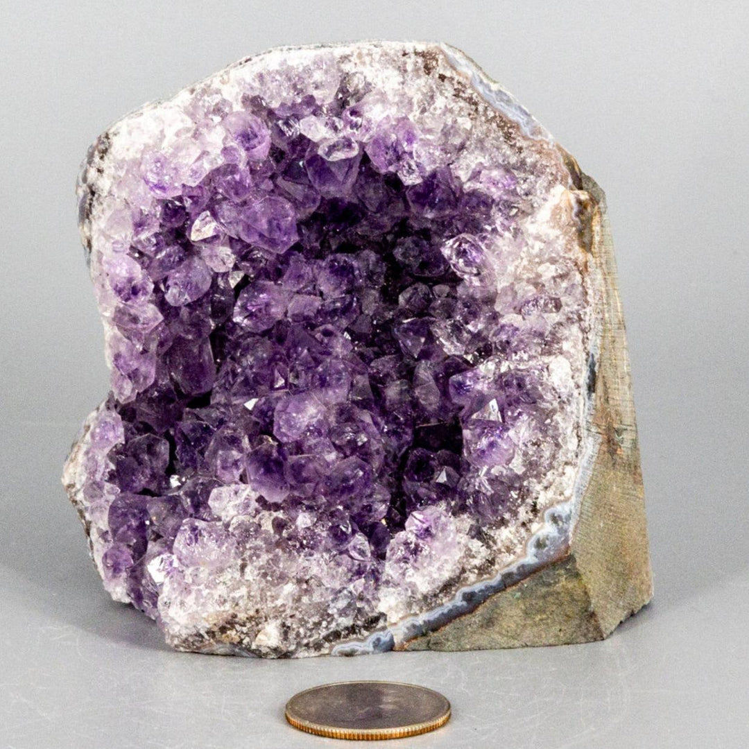 Amethyst Geode-Geodes-Crystal Destiny-Amethyst-708g - 3.50"H x 3.50"W-Crystal Destiny