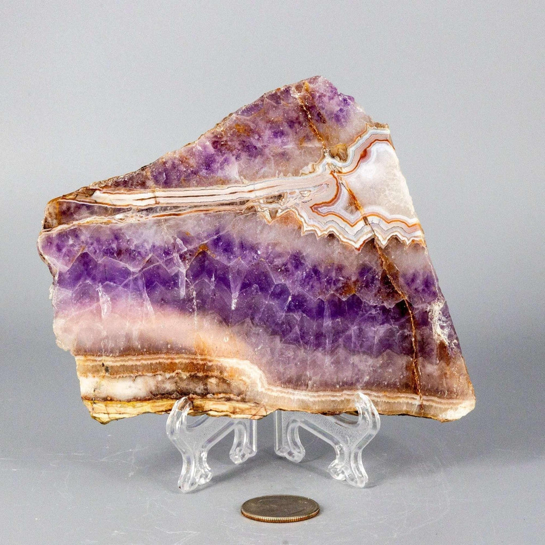Amethyst "Laced" Agate Crystal Slab from Crystal Destiny, showcasing vibrant purple, white, and brown bands.
