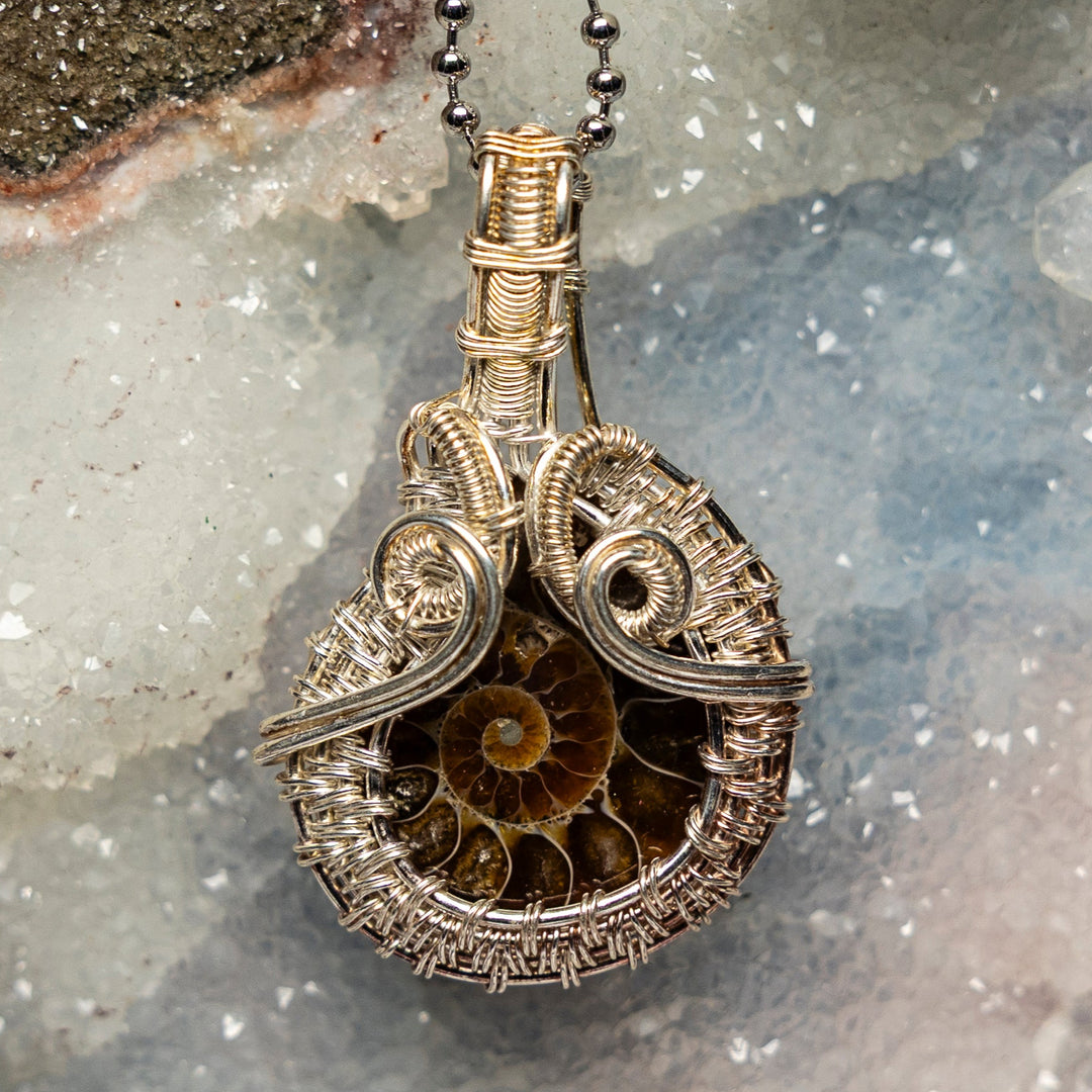 Ammonite Fossil Wire Wrap Pendant-Wire Wraps-Crystal Destiny-Ammonite-2.10"-Crystal Destiny