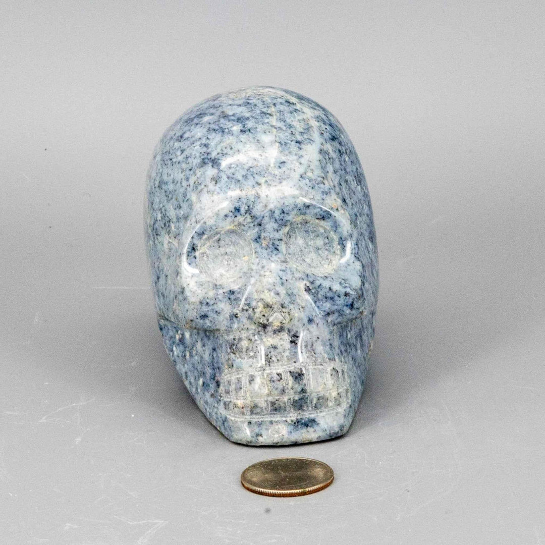 Anhydrite Crystal Skull: A polished, blue-grey speckled skull, symbolizing peace and spiritual awareness, next to a coin.