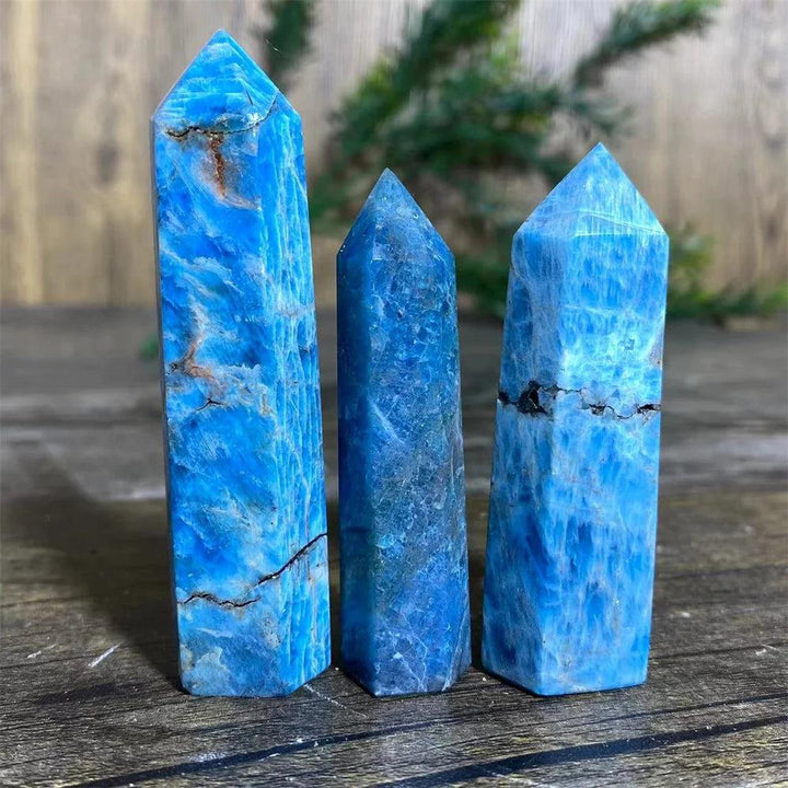 Three vibrant blue natural Apatite crystal tower wands for healing, Reiki, and beautiful home decor.