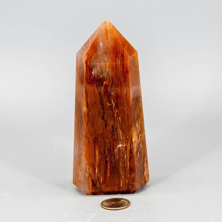 Rare Aragonite XL Tower: thick, polished crystal in warm cream, tan, and brown earthy tones.