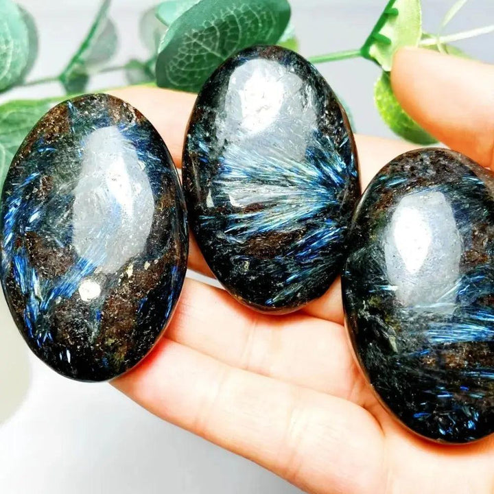 Polished Astrophyllite palm stones featuring striking blue starburst patterns for healing, meditation, and energy balancing.