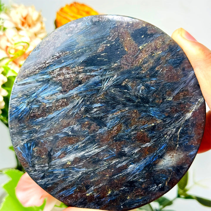 Polished Astrophyllite firework mineral slice featuring radiant blue and bronze starburst blades for transformation.