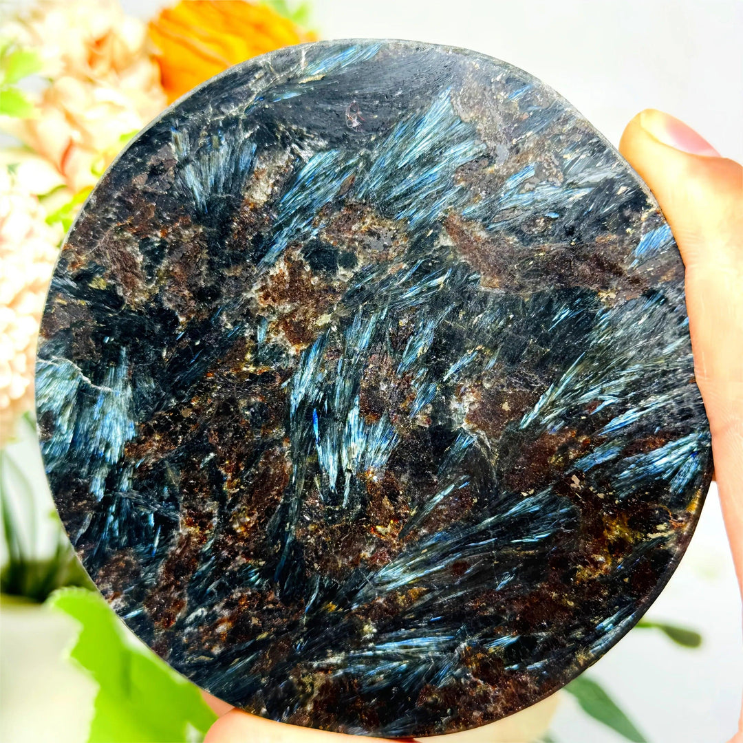 Polished Astrophyllite firework mineral slice with radiating blue and bronze blades for transformation and manifestation.