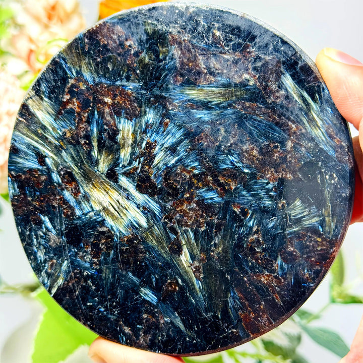Polished Astrophyllite firework mineral slice with radiating bronze and gold blades on a dark, high-vibration stone.