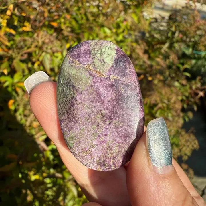 Bohemian Atlantis Crystal Palm Stone with marbled green and purple healing stichtite.