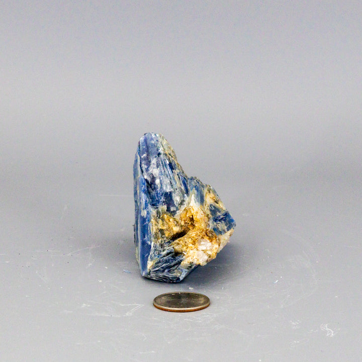 Beautiful Blue Kyanite Blades In Quartz Clusters-Raw-Crystal Destiny-Blue Kyanite / Quartz-172g - 4.00" x 2.00"-Crystal Destiny