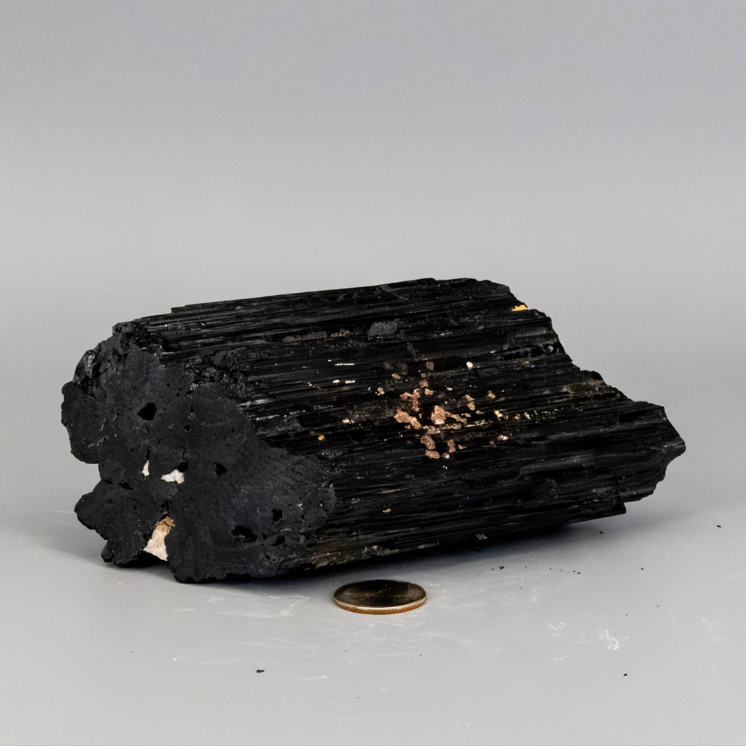 Big Black Tourmaline Hunk w/t Quartz Inclusions-Raw-Crystal Destiny-Black Tourmaline-1184g - 6.00"L x 4.00"W X 2.00"H-Crystal Destiny