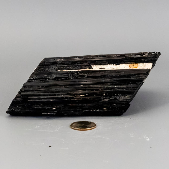 Big Black Tourmaline Hunk w/t Quartz Inclusions-Raw-Crystal Destiny-Black Tourmaline-1184g - 6.00"L x 4.00"W X 2.00"H-Crystal Destiny