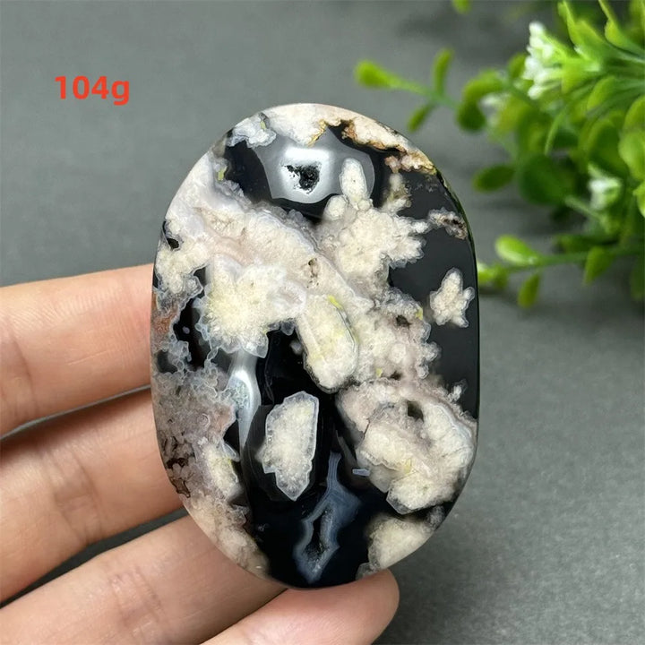 Black Cherry Blossom Agate palm stone featuring a charcoal base with cream floral dendrites for grounding meditation.
