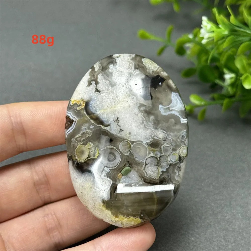 88g Black Cherry Blossom Agate palm stone with charcoal base and cream floral dendrites for grounding Root Chakra energy.