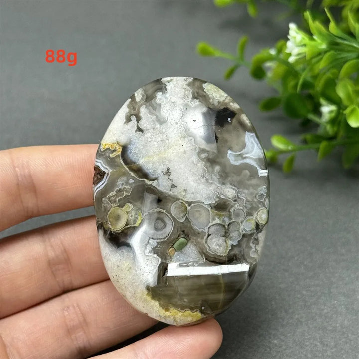 88g Black Cherry Blossom Agate palm stone with charcoal base and cream floral dendrites for grounding Root Chakra energy.