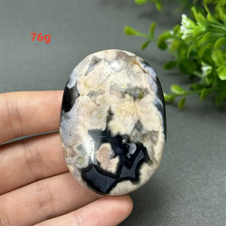Black Cherry Blossom Agate palm stone with charcoal base and blush floral dendrites for Root Chakra grounding.