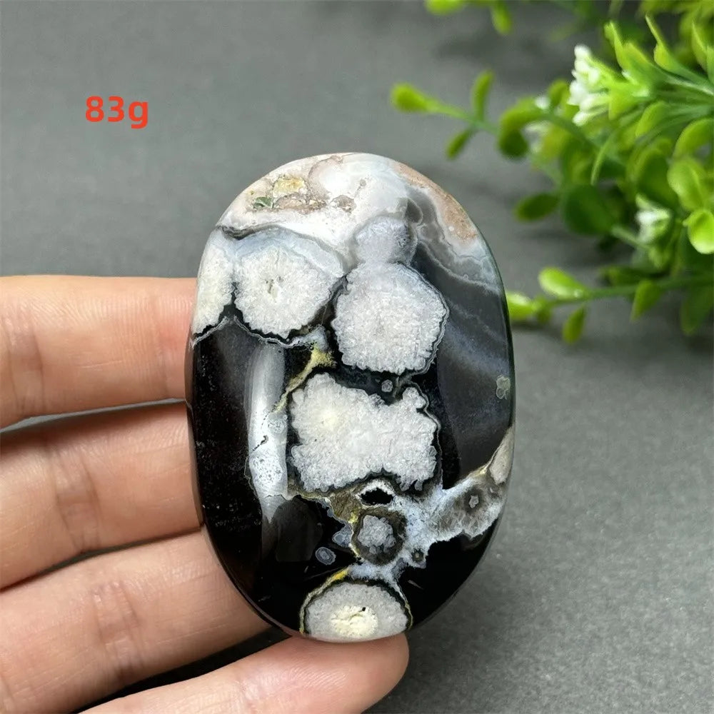 83g Black Cherry Blossom Agate palm stone with a charcoal base and cream floral dendrites for grounding Root Chakra energy.