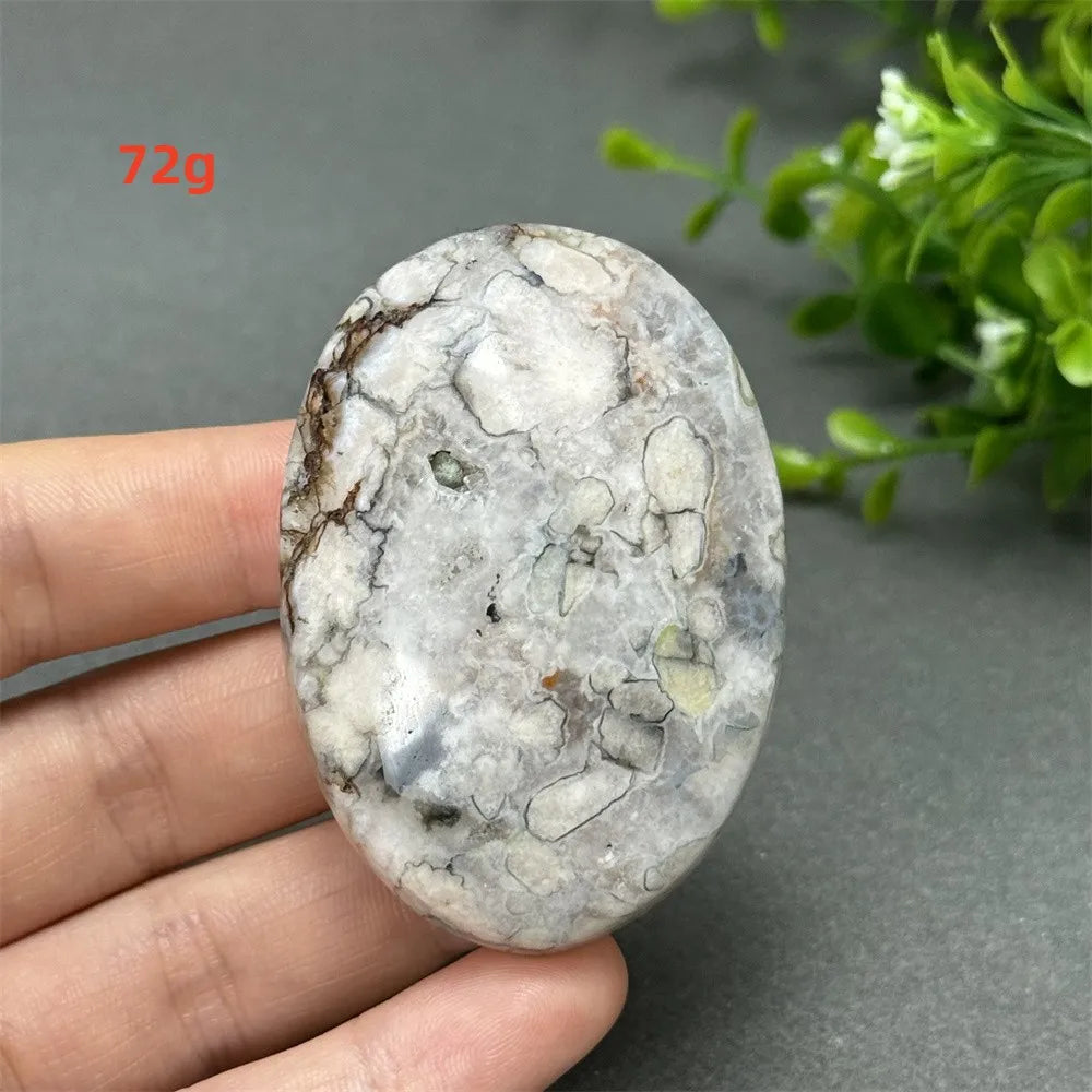 72g Black Cherry Blossom Agate palm stone with charcoal and cream floral dendrites for grounding Root Chakra energy.