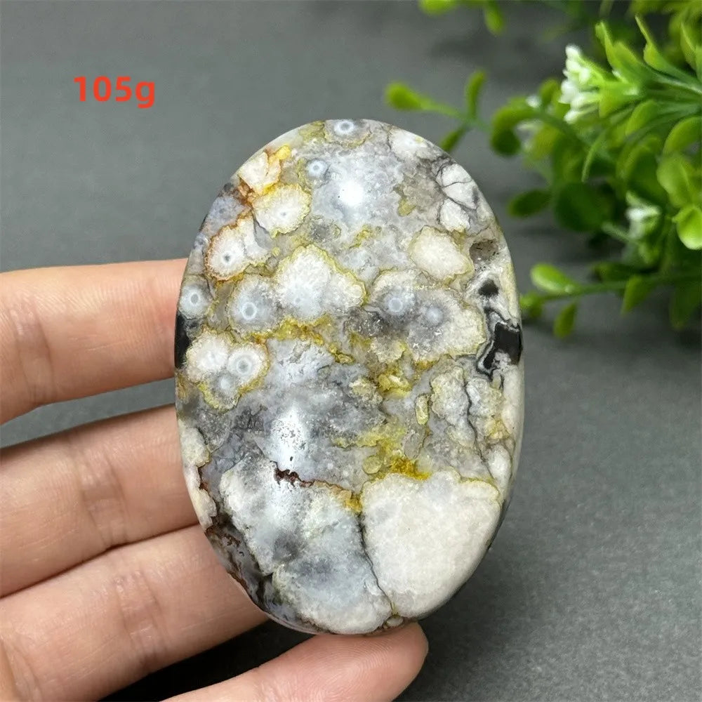 105g Black Cherry Blossom Agate palm stone with charcoal, cream, and blush floral dendrites for grounding meditation.
