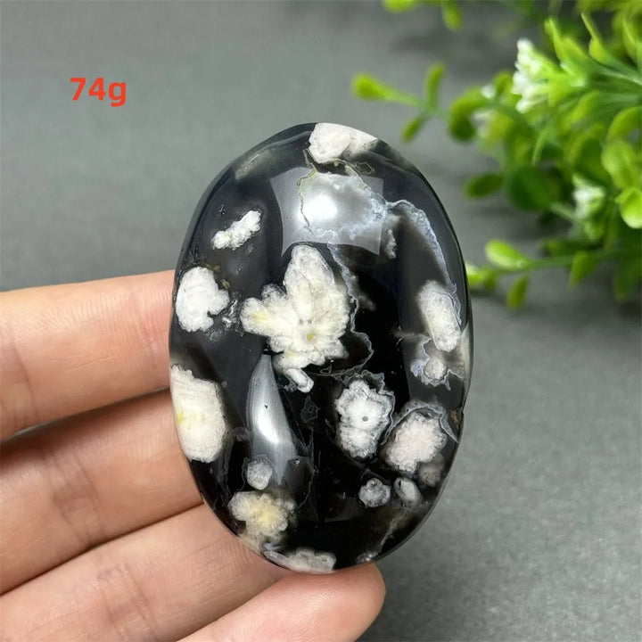 74g Black Cherry Blossom Agate palm stone with a charcoal base and cream floral dendrites for Root Chakra grounding.