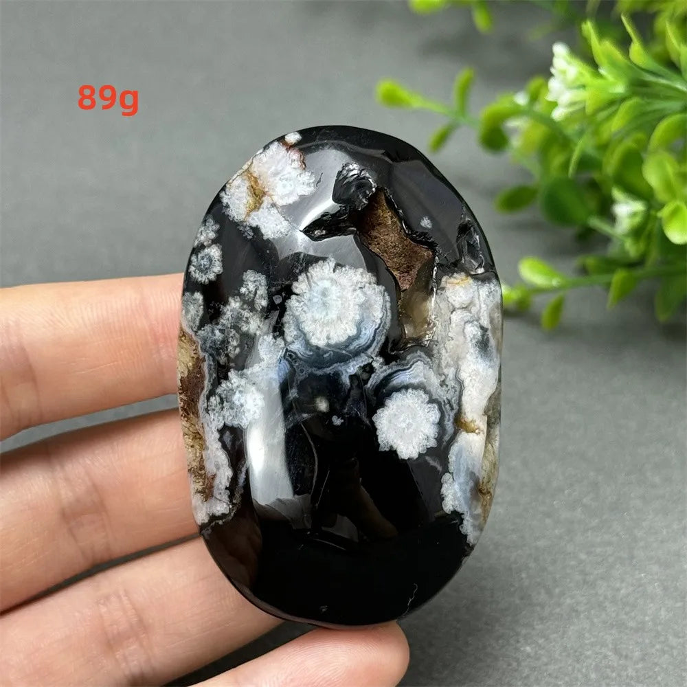 89g Black Cherry Blossom Agate palm stone with charcoal base and cream floral dendrites for Root Chakra grounding.