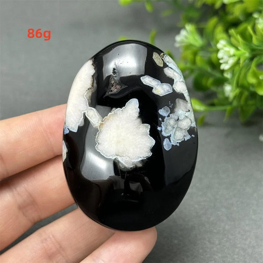 86g Black Cherry Blossom Agate palm stone with a deep charcoal base and cream floral dendrites for grounding energy.