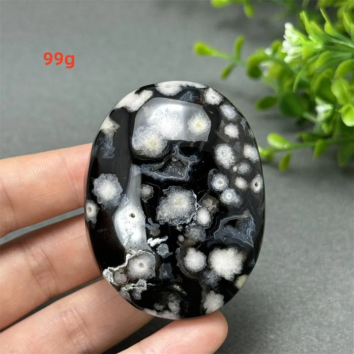 99g Black Cherry Blossom Agate palm stone with a charcoal base and cream floral dendrites for grounding meditation.