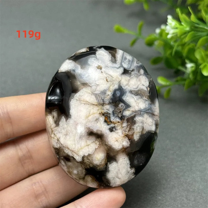 119g Black Cherry Blossom Agate palm stone with charcoal base and cream floral dendrites for grounding Root Chakra energy.
