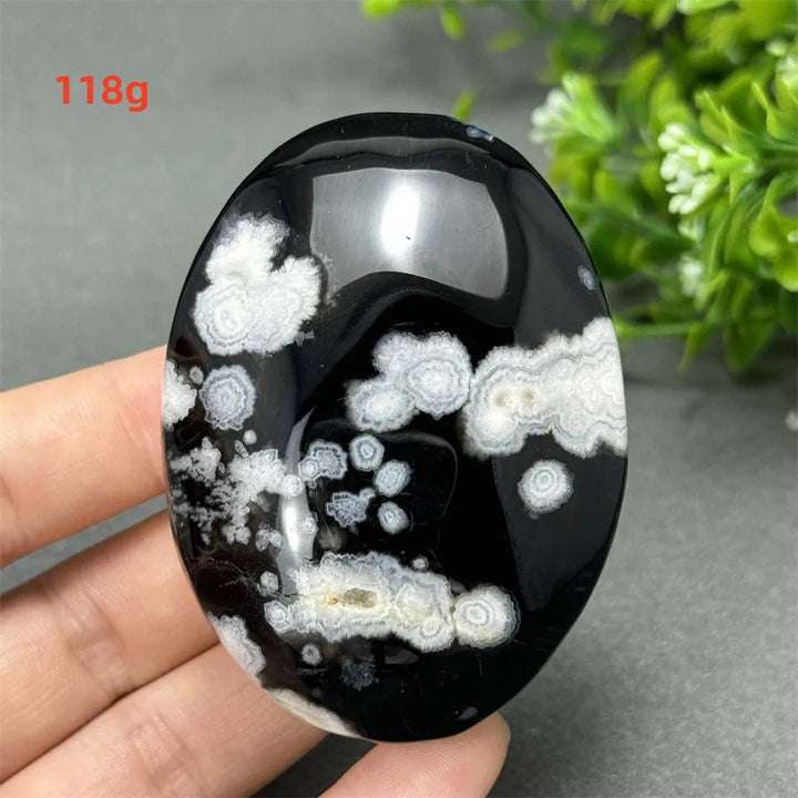Black Cherry Blossom Agate palm stone with a charcoal base and cream floral dendrites for grounding Root Chakra energy.