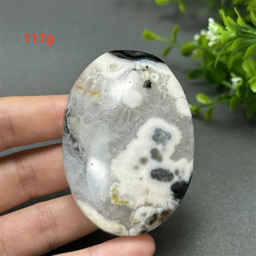 117g Black Cherry Blossom Agate palm stone with charcoal base and cream floral dendrites for Root Chakra grounding.