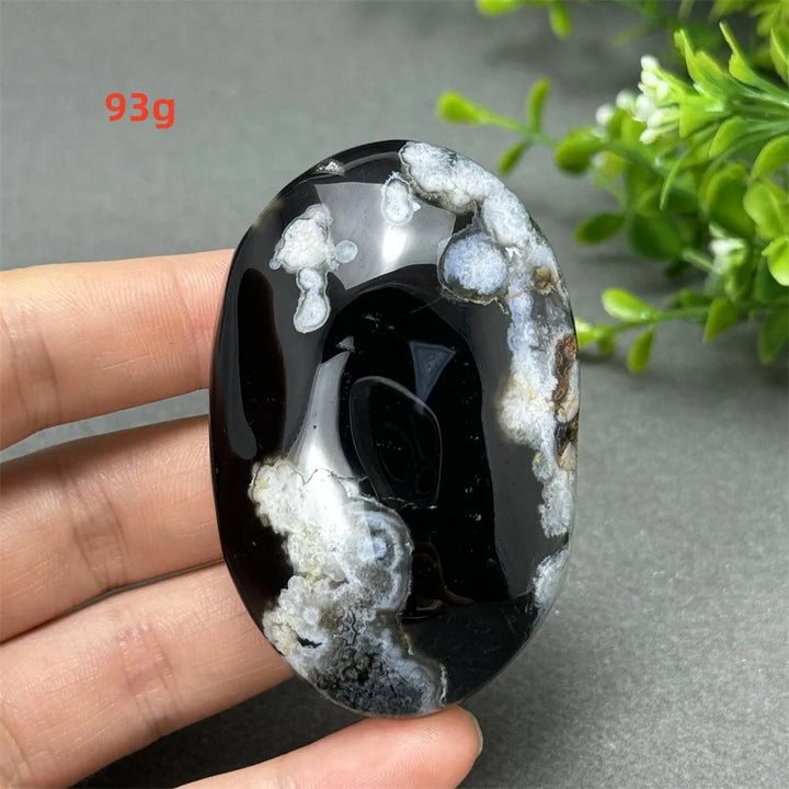 93g Black Cherry Blossom Agate palm stone with charcoal base and cream floral dendrites for Root Chakra grounding.