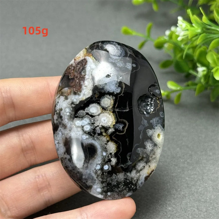105g Black Cherry Blossom Agate palm stone with charcoal base and cream floral dendrites for Root Chakra grounding.