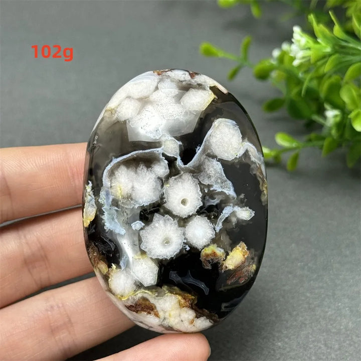 102g Black Cherry Blossom Agate palm stone with charcoal base and cream floral dendrites for Root Chakra grounding.