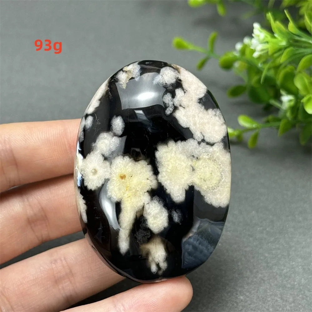 93g Black Cherry Blossom Agate palm stone with charcoal base and cream floral dendrites for grounding Root Chakra energy.