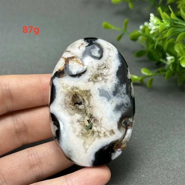 87g Black Cherry Blossom Agate palm stone with charcoal base, cream floral dendrites, and a grounding crystal geode center.