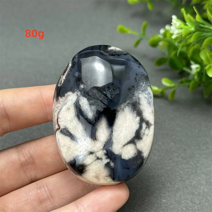 80g Black Cherry Blossom Agate palm stone with charcoal base and cream floral dendrites for grounding Root Chakra energy.