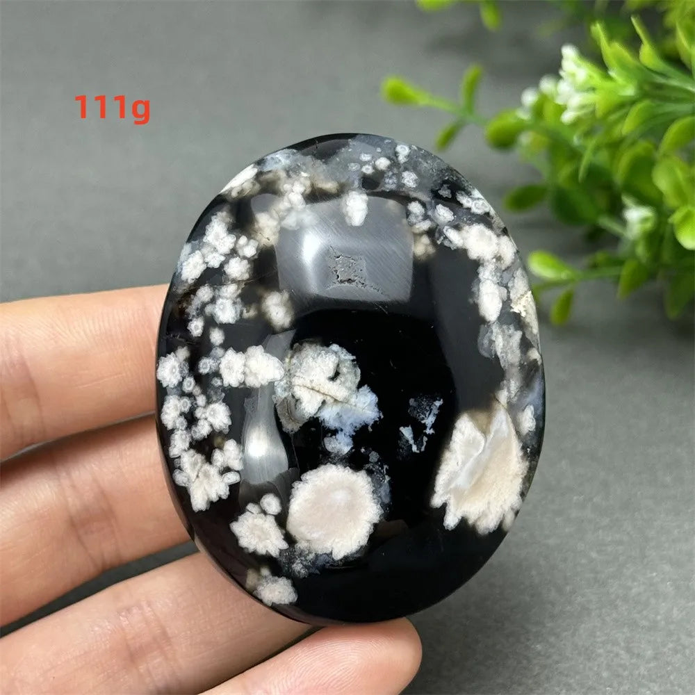 111g Black Cherry Blossom Agate palm stone with charcoal base and cream floral dendrites for Root Chakra grounding.