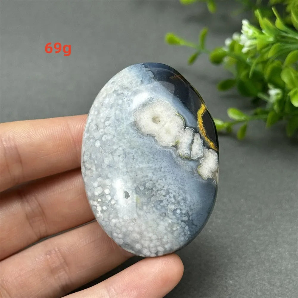 69g Black Cherry Blossom Agate palm stone with charcoal base and cream floral dendrites for Root Chakra grounding.