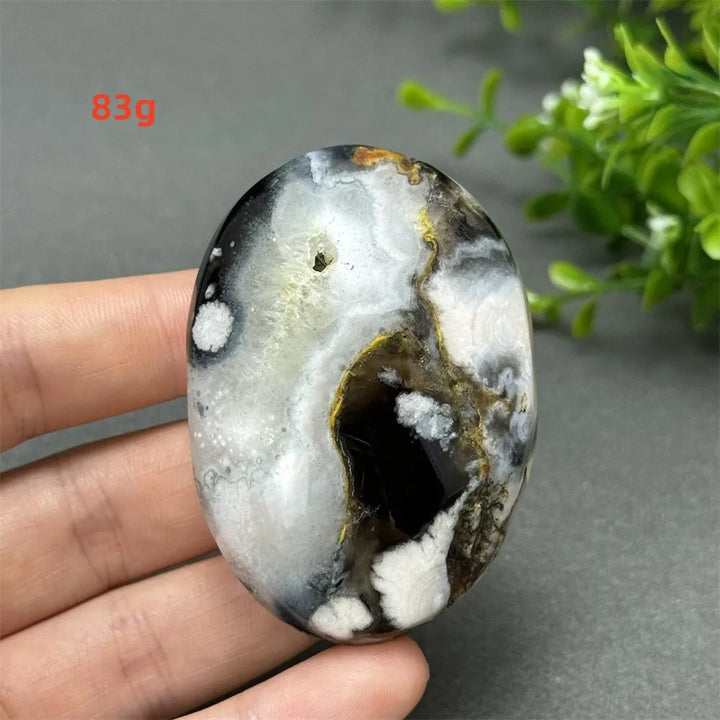 83g Black Cherry Blossom Agate palm stone with charcoal base and cream floral dendrites for Root Chakra grounding.