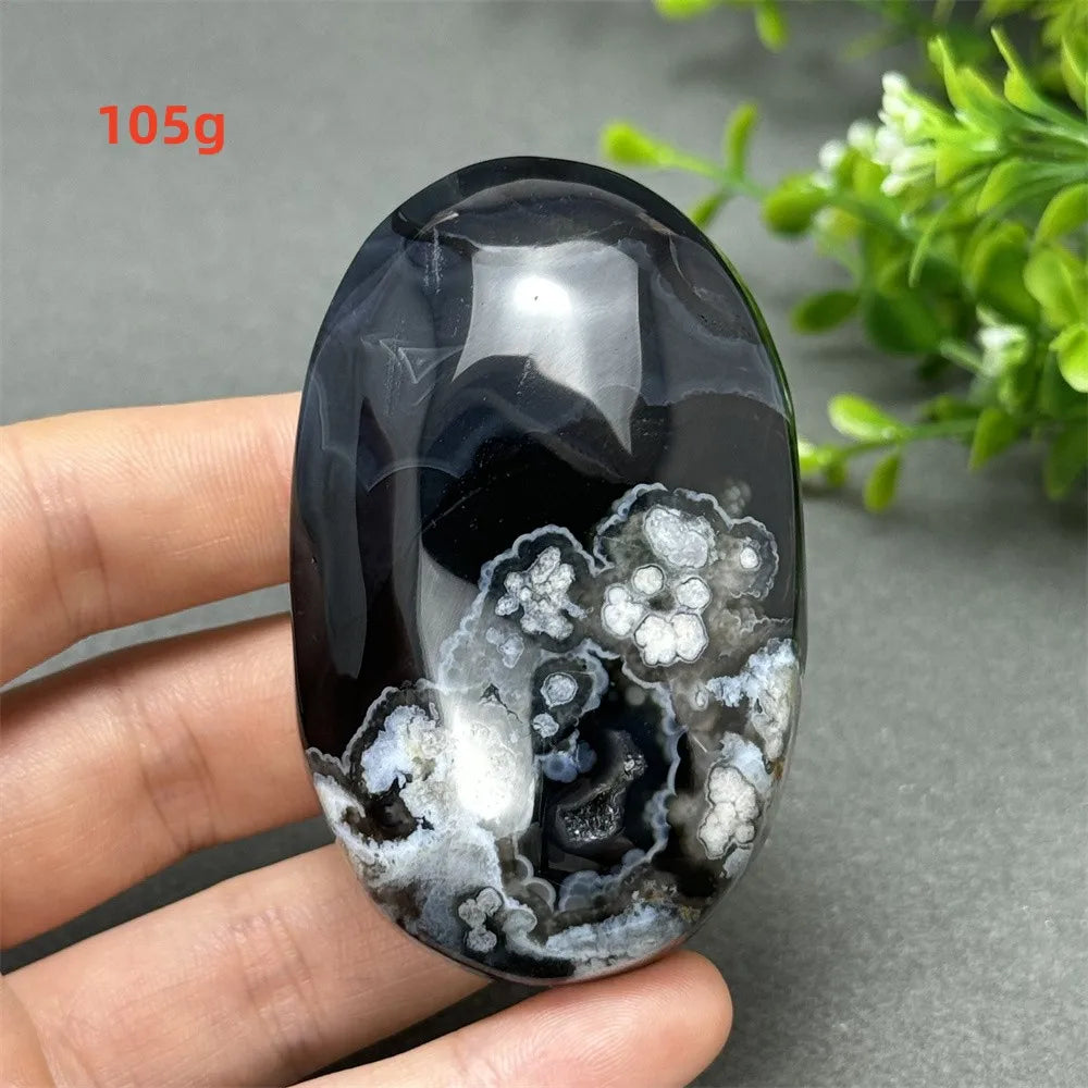 105g Black Cherry Blossom Agate palm stone with charcoal base and cream floral dendrites for grounding Root Chakra energy.