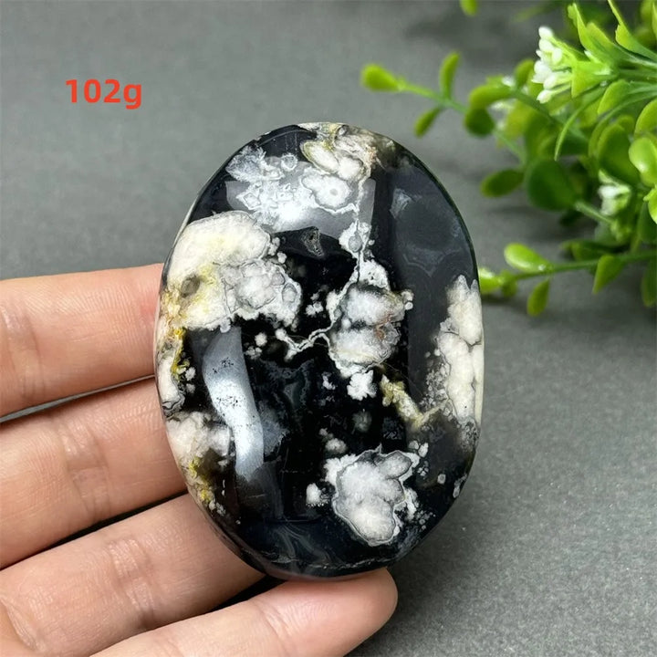 102g Black Cherry Blossom Agate palm stone with charcoal base and cream floral dendrites for grounding Root Chakra energy.